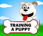 Training A Puppy Represents Trainer Instruction And Coach Stock Photo