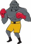 Gorilla Boxer Boxing Stance Cartoon Stock Photo