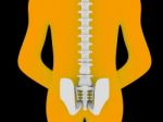 3d Rendered Medical Illustration Of Pelvis And Spine Stock Photo