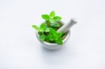 White Porcelain Mortar And Pestle With Peppermint Leaf On White Stock Photo
