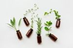 Top View, Bottle Of Essential Oil With Herbs Stock Photo