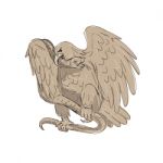 Serpent In Clutches Of Eagle Drawing Stock Photo