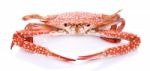Red Crab Isolated On White Background Stock Photo