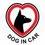 Dog In Car Stock Photo