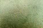 Wet Concrete With Lichen Stock Photo