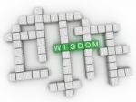3d Wisdom Concept Word Cloud Stock Photo