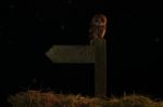 Tawny Owl And Sign Post Stock Photo