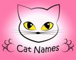 Cat Names Represents Kitty Pets And Feline Stock Photo