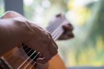 Acoustic Guitar Guitarist Playing. Musical Instrument With Perfo Stock Photo