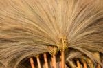 Thai Style Wooden Brooms Stock Photo