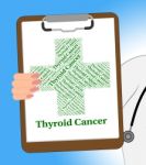 Thyroid Cancer Represents Malignant Growth And Ailments Stock Photo