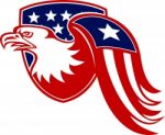 American Eagle Stars And Stripes Flag Shield Retro Stock Photo