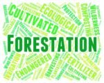 Forestation Word Means Park Woodland And Trees Stock Photo