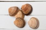 Several Seashells In A Pile Stock Photo