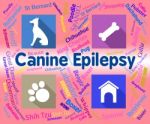 Canine Epilepsy Means Dog And Puppies Fits Stock Photo