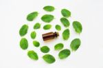 Essentail Oil With Fresh Mint Leaves Stock Photo