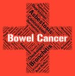 Bowel Cancer Indicates Ill Health And Ailments Stock Photo