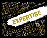 Expertise Words Indicates Proficient Skills And Experience Stock Photo