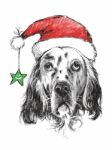 English Setter With Santa Claus Hat Stock Photo