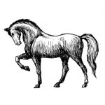 Freehand Sketch Illustration Of Horse Stock Photo