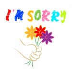 I'm Sorry Flowers Shows Apologise Remorse And Apologize Stock Photo