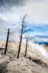 Mammoth Hot Springs In Yellowstone National Park Stock Photo