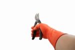 Rubber Glove And Shears Stock Photo