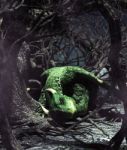 Dragon Resting In Creepy Forest,3d Rendering For Book Cover Stock Photo