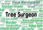 Tree Surgeon Represents General Practitioner And Branch Stock Photo