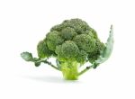 Broccoli Vegetable Isolated On White Background Stock Photo