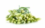 Chives Flower Or Chinese Chive Isolated On White Background Stock Photo