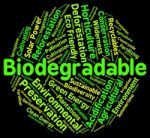 Biodegradable Word Showing Degrade Bacteria And Biodegrade Stock Photo