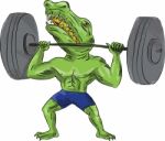 Sobek Weightlifter Lifting Barbell Caricature Stock Photo