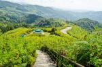 Landscape High Mountain Range At Viewpoint Doi Mae U Ko Stock Photo