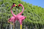 Fountain With A Couple Of Lovely Flamingos Stock Photo