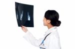 Female Doctor Looking At Scanned X-ray Report Stock Photo