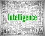 Intelligence Word Indicates Intellectual Capacity And Acumen Stock Photo