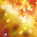 Maple Leaf Background Stock Photo