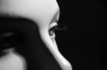 Close Up On A Woman's Doll - Mannequin Stock Photo