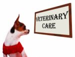 Veterinary Care Sign Stock Photo