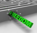 Freedom From Maze Shows Liberty Stock Photo
