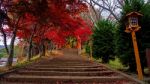 Colorful Autumn Leaves At Chureito Pagoda Stock Photo