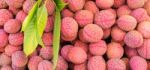Lychee, Or Litchi, Litchi Chinensis, Fresh Litchi Fruits For Bac Stock Photo