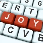 Joy Key Shows Fun Or Happiness
 Stock Photo