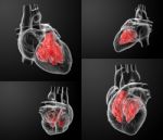 3d Rendering Of The Heart Atrium Stock Photo