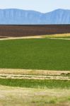 Country Agricultural And Farming Field Stock Photo