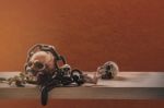 Skull With Chain On Wood Stock Photo