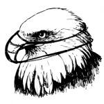 Black And White Eagle With Mask Hand Drawn Stock Photo
