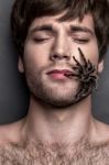 Portrait Of A Young Handsome Man With Spider On His Face Stock Photo