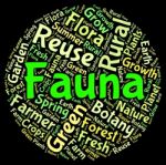 Fauna Word Indicates Animal Kingdom And Area Stock Photo